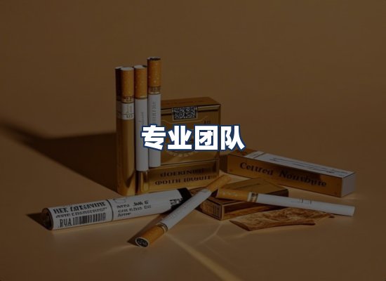 专业团队
